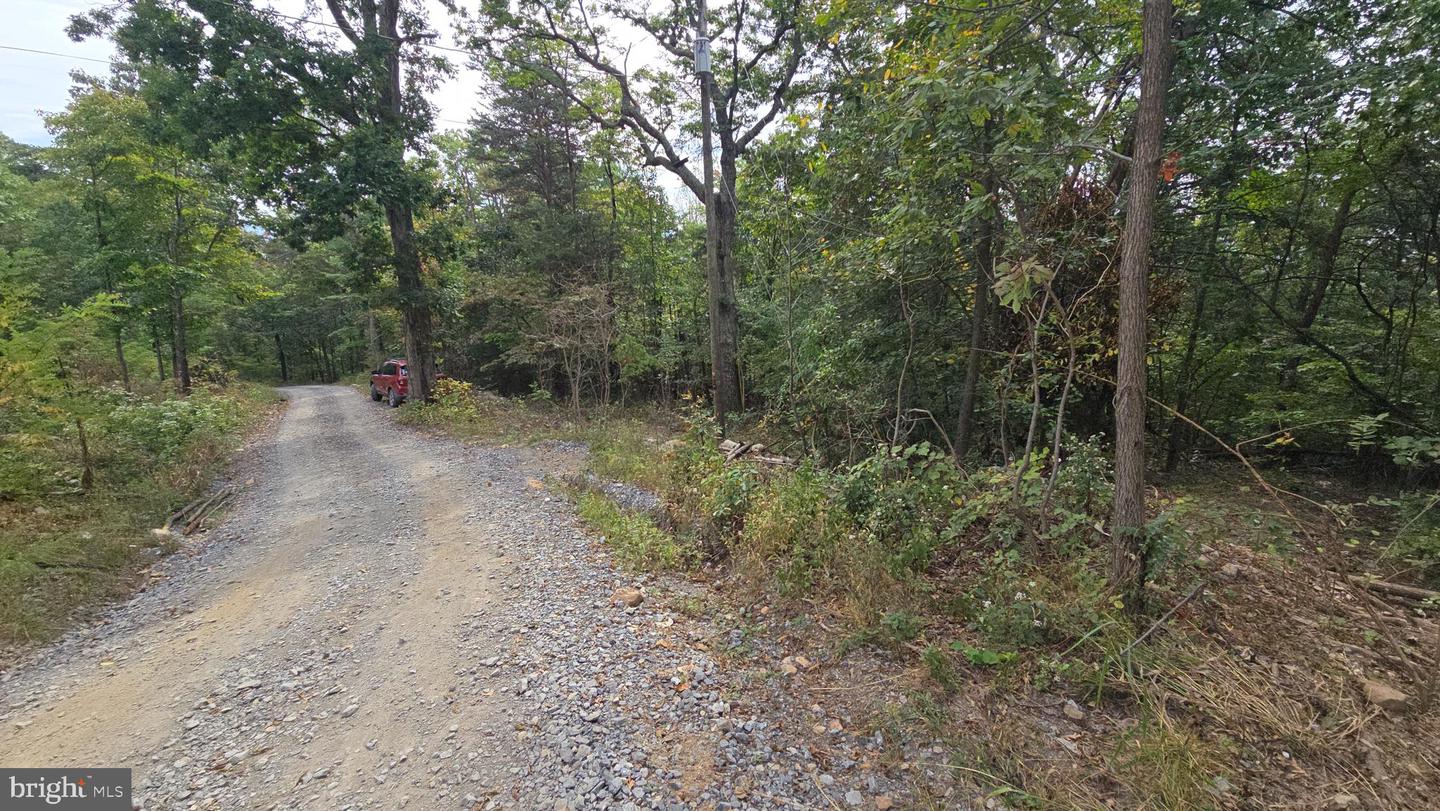 LOT 20 LONG VIEW DR, LURAY, Virginia 22835, ,Land,For sale,LOT 20 LONG VIEW DR,VAPA2005400 MLS # VAPA2005400