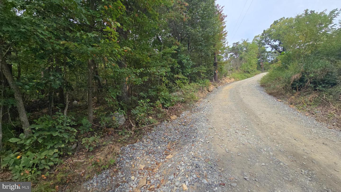 LOT 20 LONG VIEW DR, LURAY, Virginia 22835, ,Land,For sale,LOT 20 LONG VIEW DR,VAPA2005400 MLS # VAPA2005400