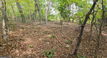 LOT 20 LONG VIEW DR, LURAY, Virginia 22835, ,Land,For sale,LOT 20 LONG VIEW DR,VAPA2005400 MLS # VAPA2005400