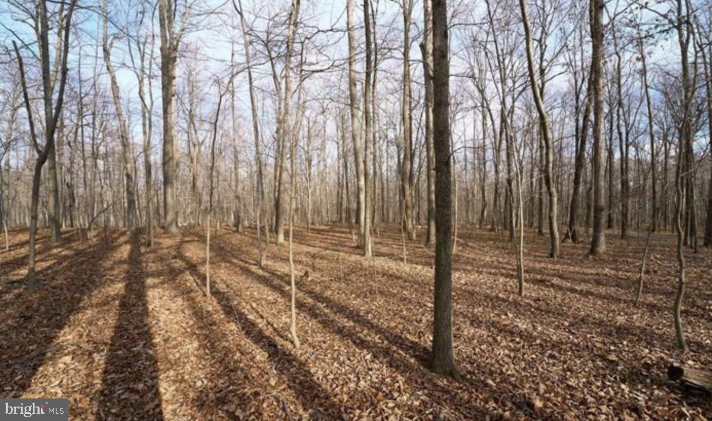 2001 MOUNTAIN RD, HAYMARKET, Virginia 20169, ,Land,For sale,2001 MOUNTAIN RD,VAPW2104730 MLS # VAPW2104730