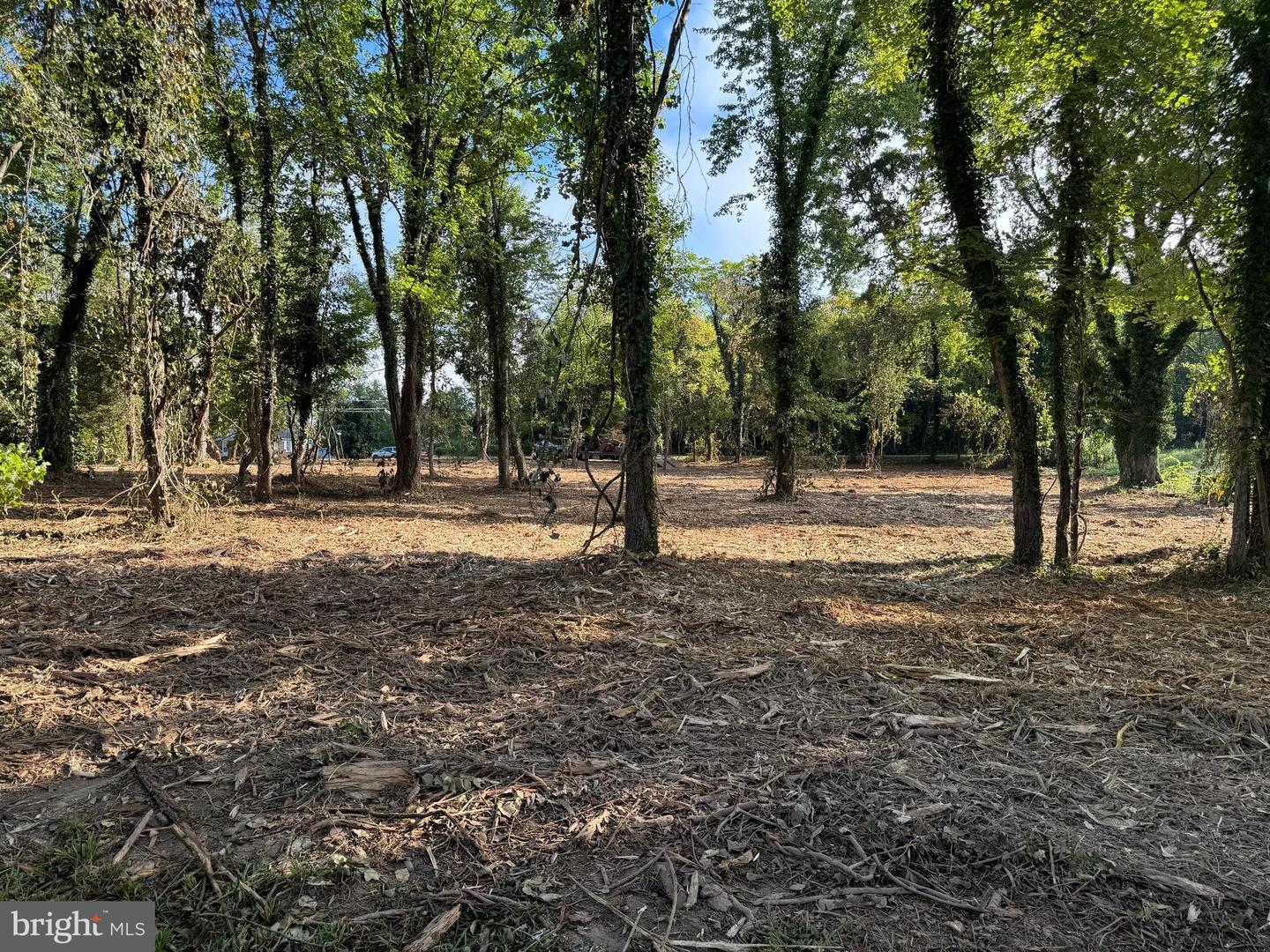 0 EAST ST, GORDONSVILLE, Virginia 22942, ,Land,For sale,0 EAST ST,VAOR2012394 MLS # VAOR2012394