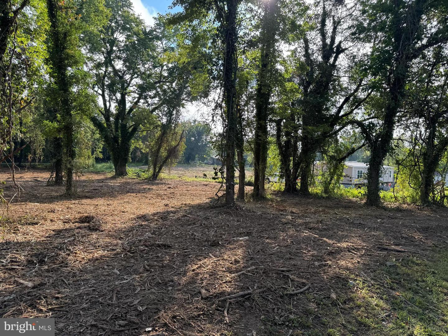 0 EAST ST, GORDONSVILLE, Virginia 22942, ,Land,For sale,0 EAST ST,VAOR2012394 MLS # VAOR2012394