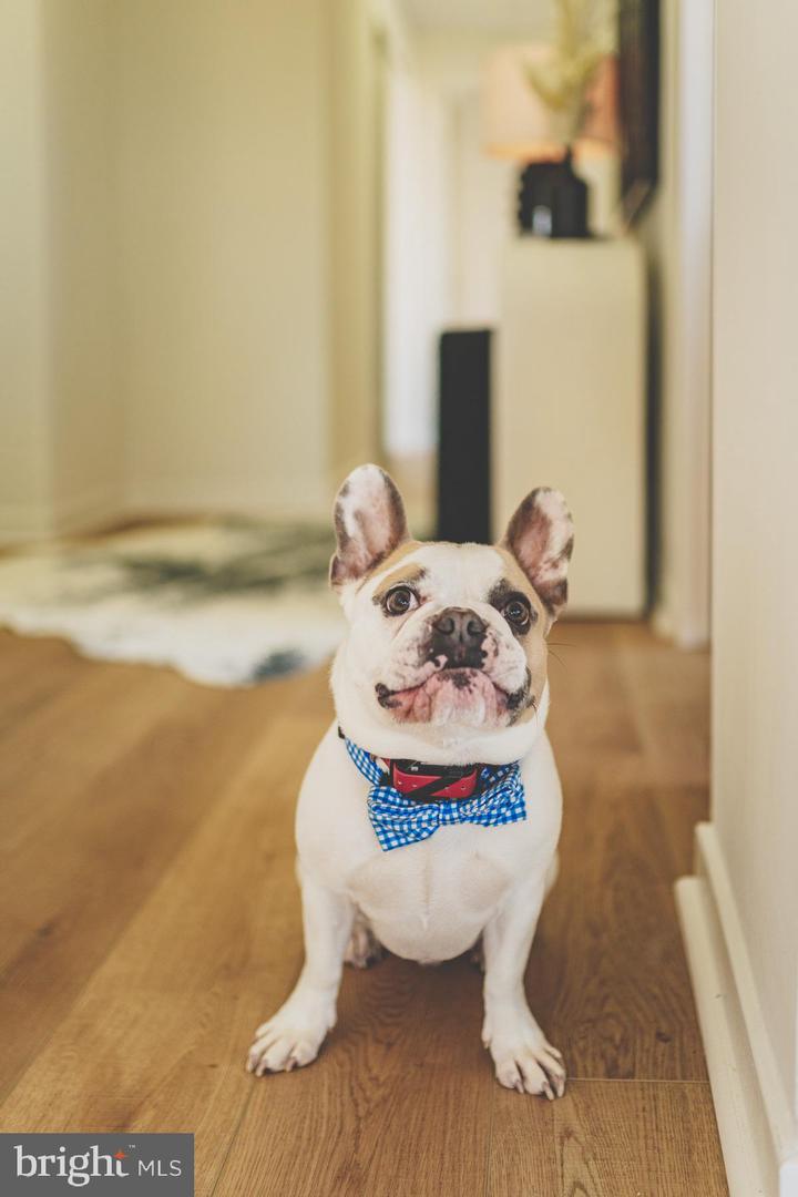 1101 3RD ST SW #703, WASHINGTON, District Of Columbia 20024, 1 Bedroom Bedrooms, ,1 BathroomBathrooms,Residential,For sale,1101 3RD ST SW #703,DCDC2217102 MLS # DCDC2217102 1101 3RD ST SW #703, WASHINGTON, District Of Columbia 20024, 1 Bedroom Bedrooms, ,1 BathroomBathrooms,Residential,For sale,1101 3RD ST SW #703,DCDC2217102 MLS # DCDC2217102