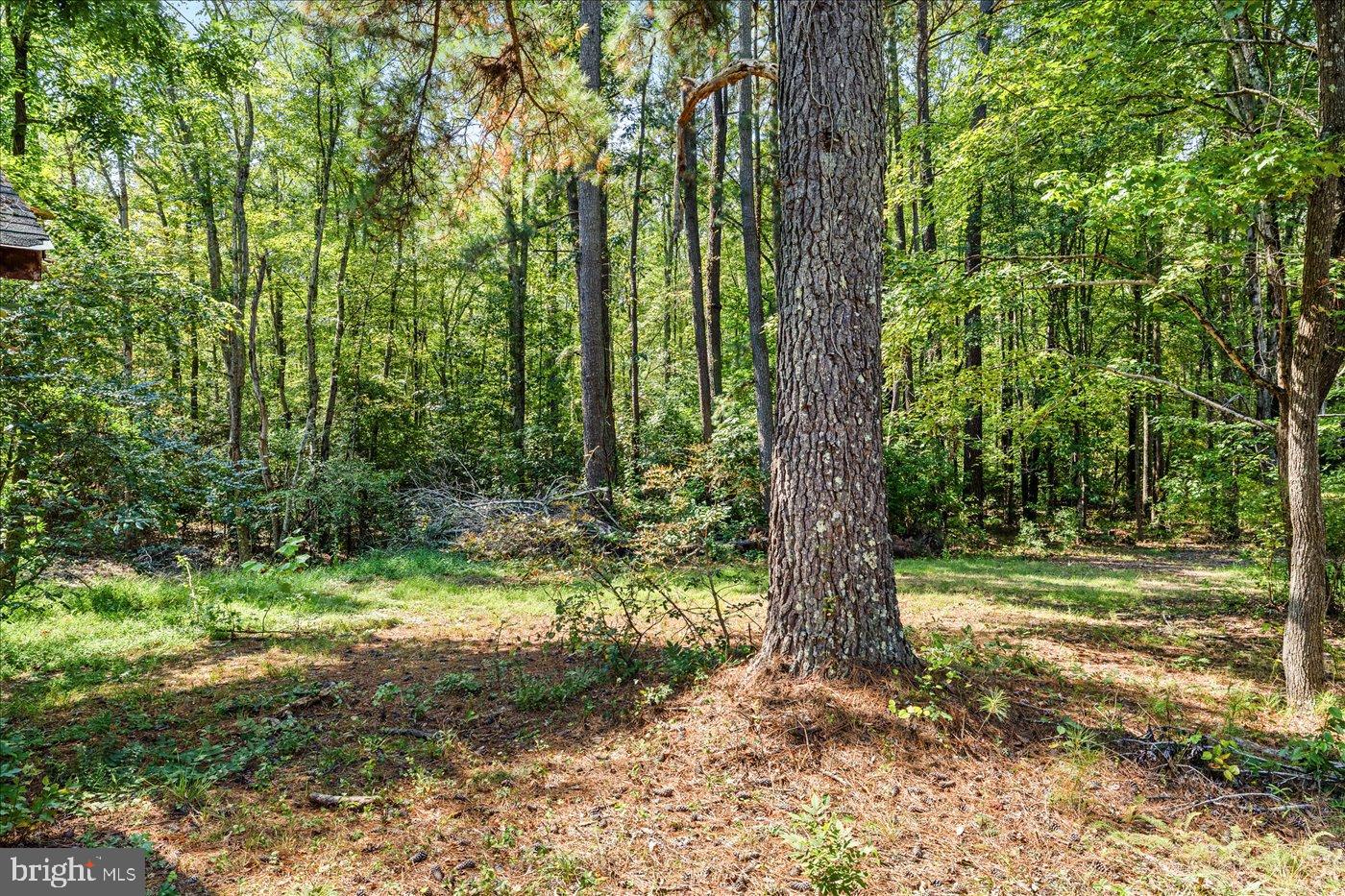 8508 BROCK RD, SPOTSYLVANIA, Virginia 22553, 4 Bedrooms Bedrooms, 14 Rooms Rooms,2 BathroomsBathrooms,Residential,For sale,8508 BROCK RD,VASP2036480 MLS # VASP2036480 8508 BROCK RD, SPOTSYLVANIA, Virginia 22553, 4 Bedrooms Bedrooms, 14 Rooms Rooms,2 BathroomsBathrooms,Residential,For sale,8508 BROCK RD,VASP2036480 MLS # VASP2036480