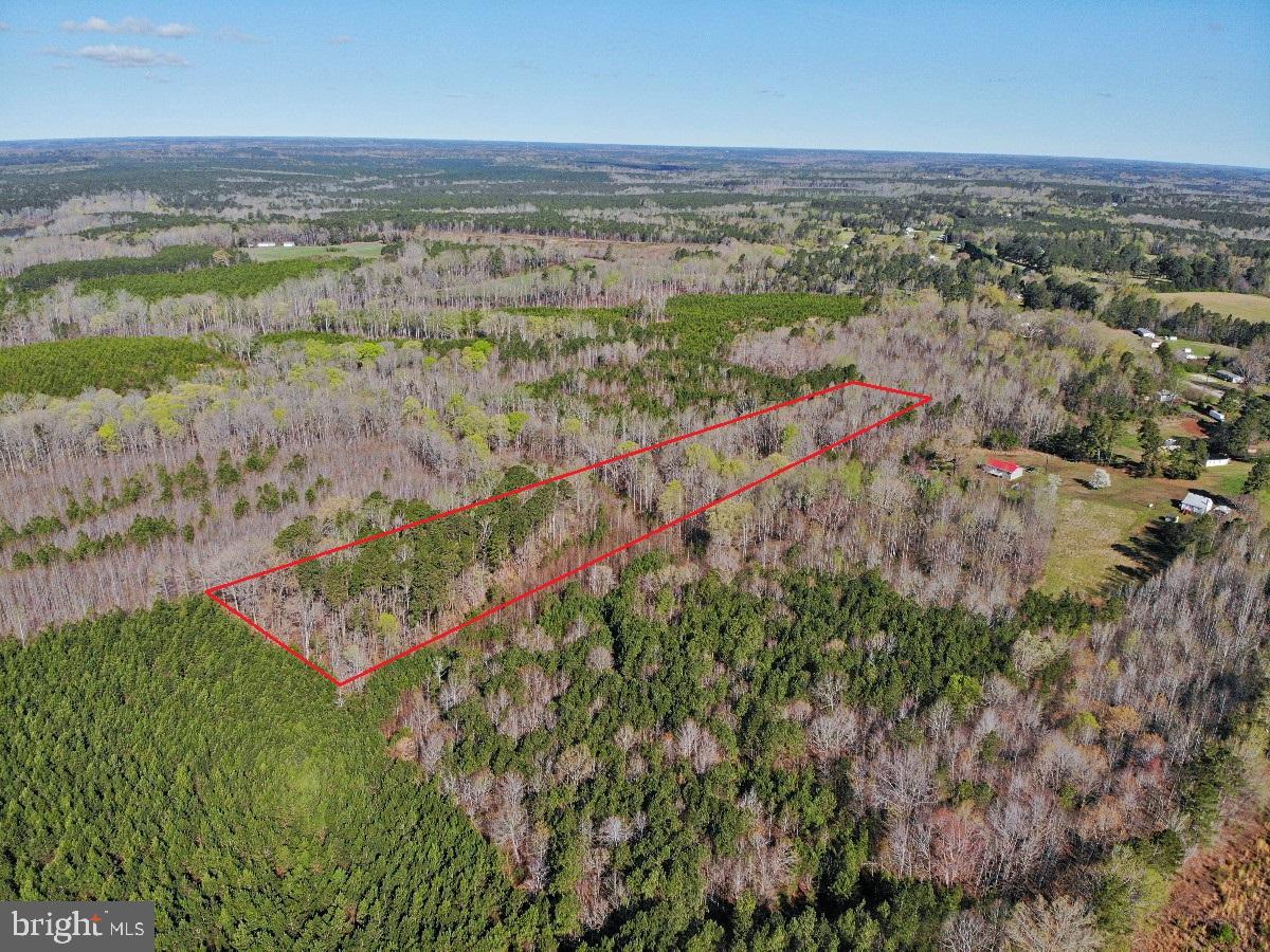 0 TAYLOR LN, LAWRENCEVILLE, Virginia 23868, ,Land,For sale,0 TAYLOR LN,VABW2000068 MLS # VABW2000068
