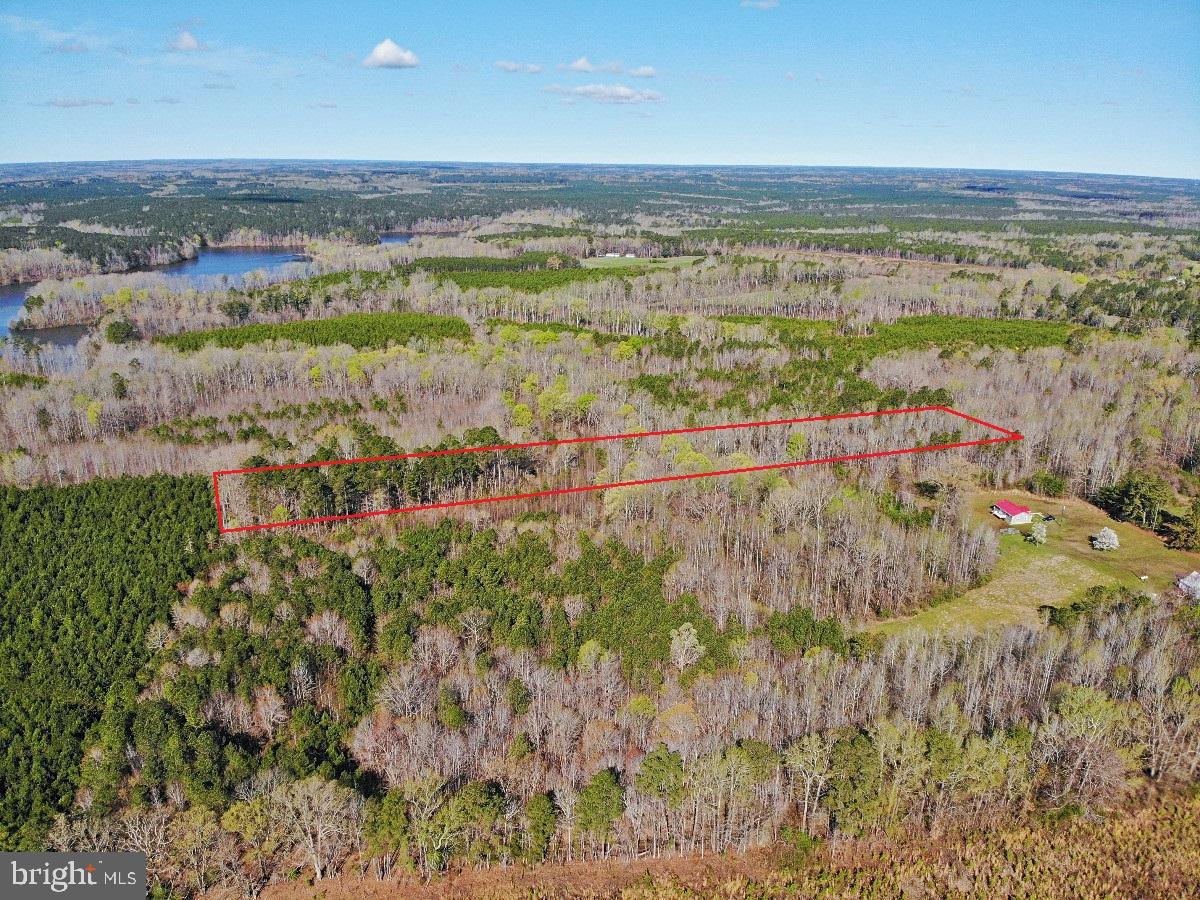 0 TAYLOR LN, LAWRENCEVILLE, Virginia 23868, ,Land,For sale,0 TAYLOR LN,VABW2000068 MLS # VABW2000068