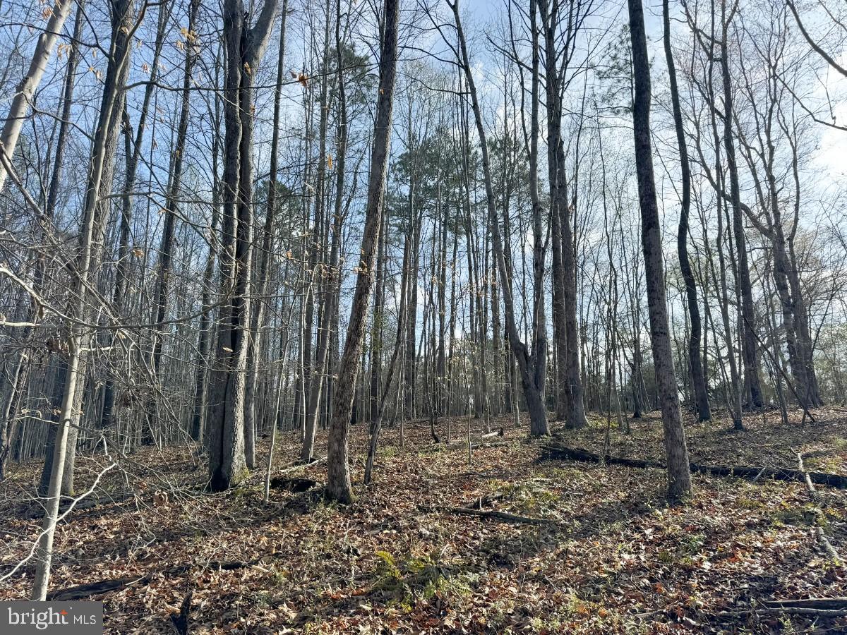 0 TAYLOR LN, LAWRENCEVILLE, Virginia 23868, ,Land,For sale,0 TAYLOR LN,VABW2000068 MLS # VABW2000068