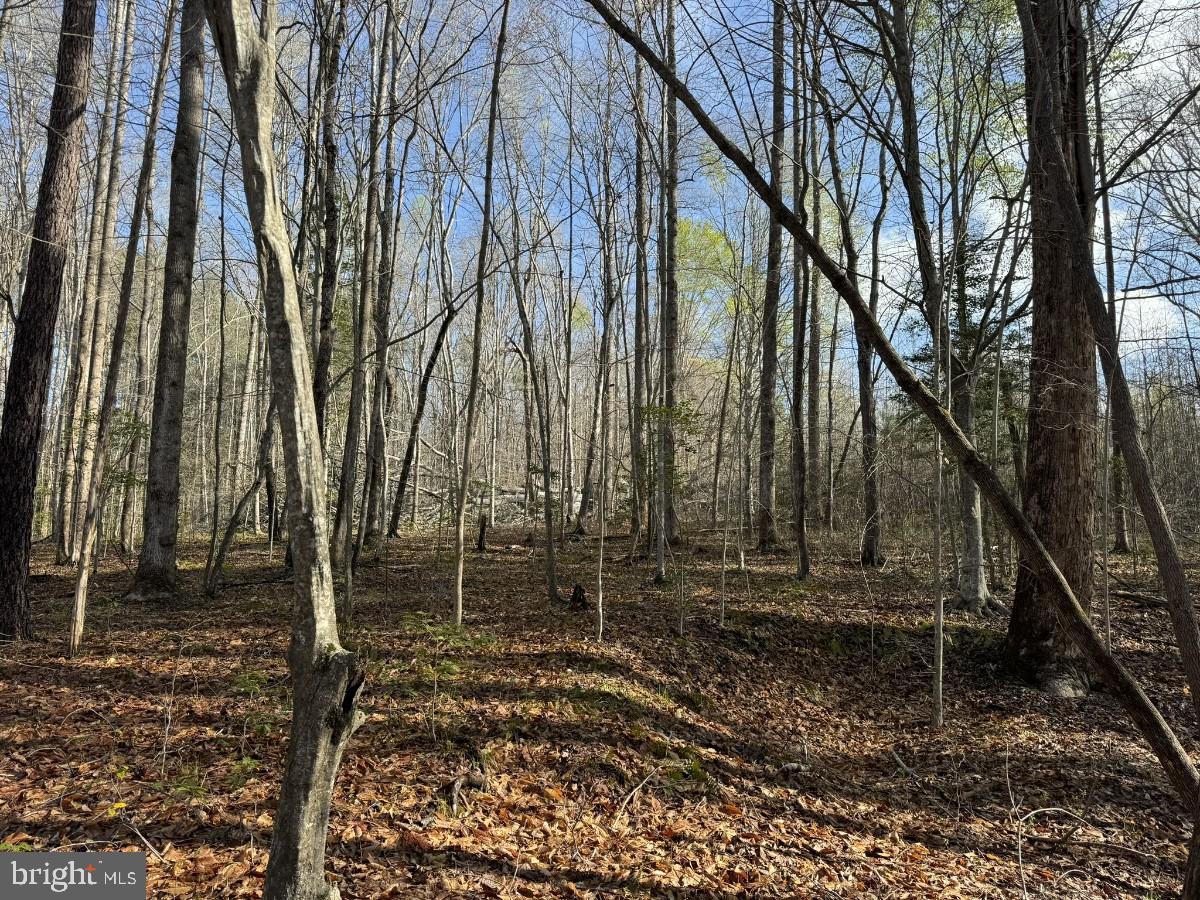 0 TAYLOR LN, LAWRENCEVILLE, Virginia 23868, ,Land,For sale,0 TAYLOR LN,VABW2000068 MLS # VABW2000068