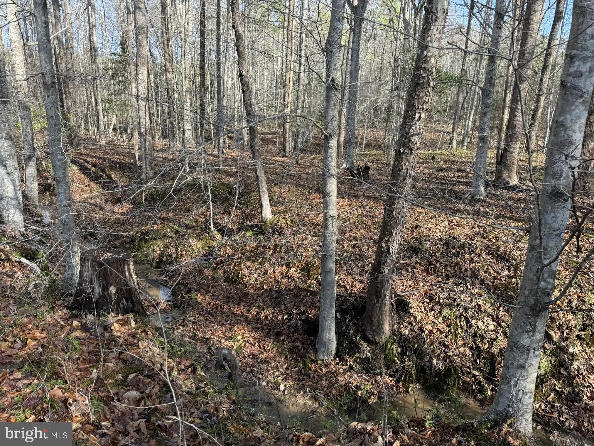 0 TAYLOR LN, LAWRENCEVILLE, Virginia 23868, ,Land,For sale,0 TAYLOR LN,VABW2000068 MLS # VABW2000068