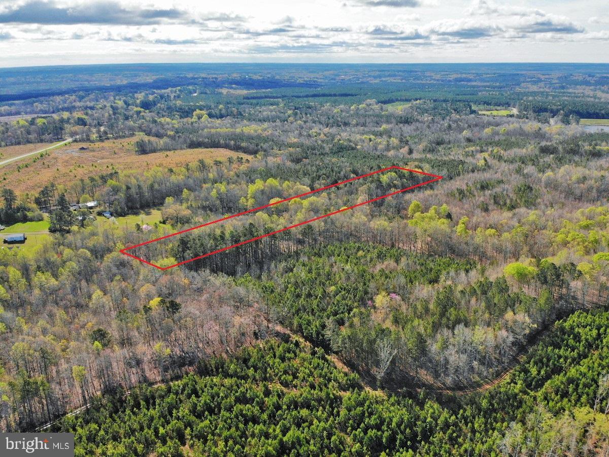 0 TAYLOR LN, LAWRENCEVILLE, Virginia 23868, ,Land,For sale,0 TAYLOR LN,VABW2000068 MLS # VABW2000068