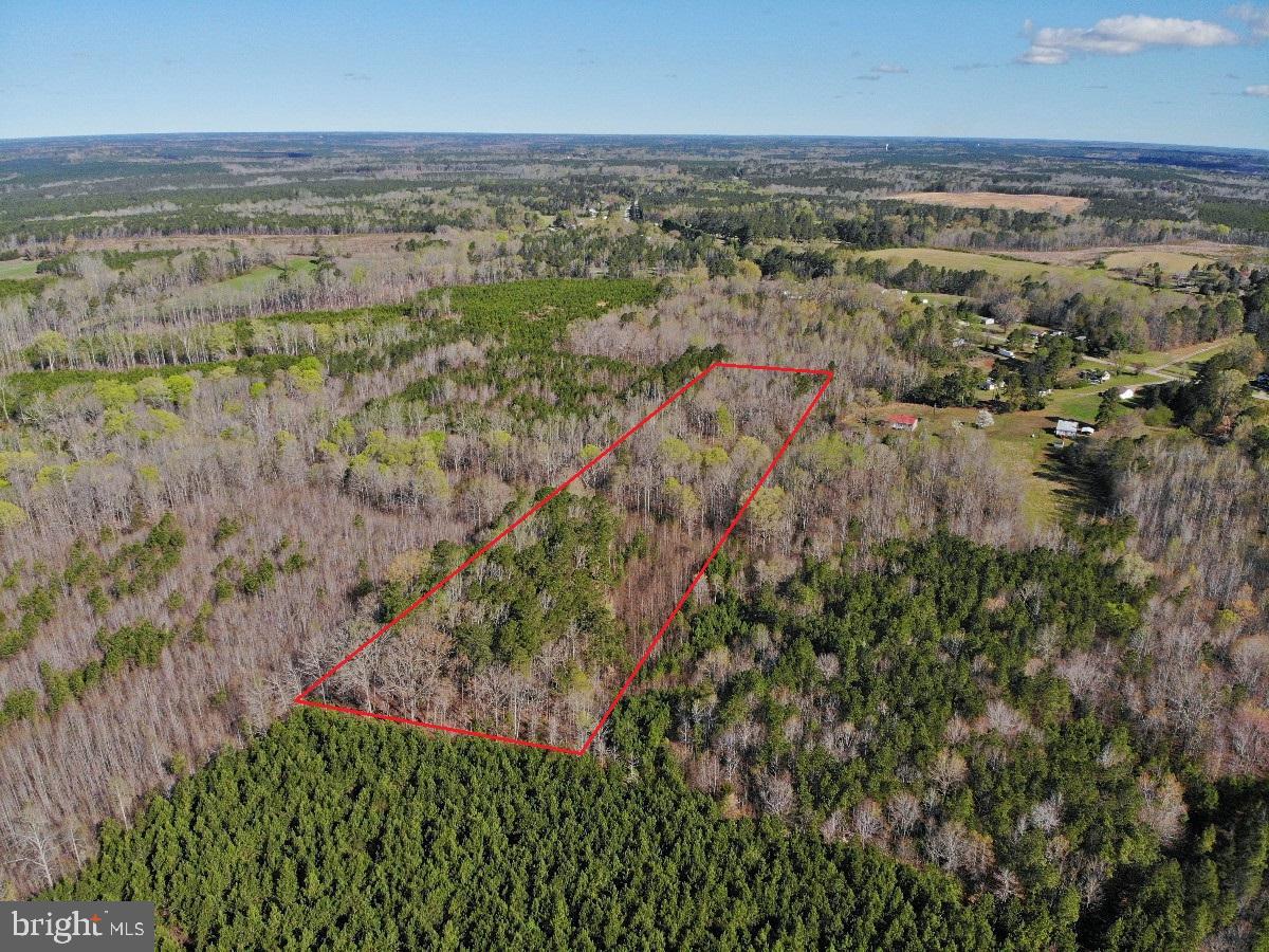 0 TAYLOR LN, LAWRENCEVILLE, Virginia 23868, ,Land,For sale,0 TAYLOR LN,VABW2000068 MLS # VABW2000068