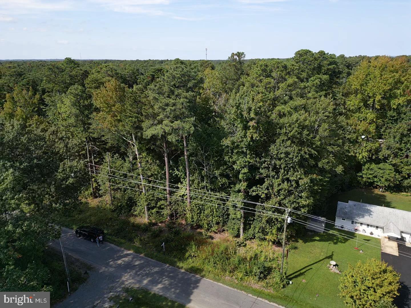 MONROE DRIVE, COLONIAL BEACH, Virginia 22443, ,Land,For sale,MONROE DRIVE,VAWE2009818 MLS # VAWE2009818