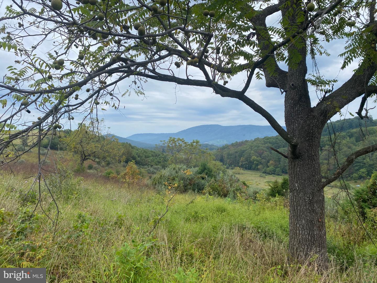 GOONEY MANOR LOOP, BENTONVILLE, Virginia 22610, ,Land,For sale,GOONEY MANOR LOOP,VAWR2012426 MLS # VAWR2012426