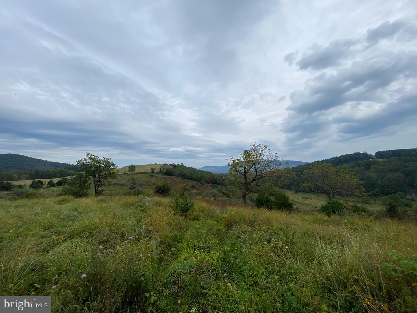 GOONEY MANOR LOOP, BENTONVILLE, Virginia 22610, ,Land,For sale,GOONEY MANOR LOOP,VAWR2012426 MLS # VAWR2012426