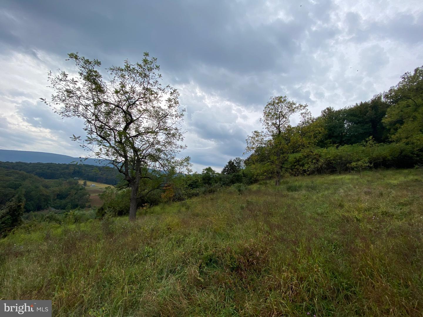 GOONEY MANOR LOOP, BENTONVILLE, Virginia 22610, ,Land,For sale,GOONEY MANOR LOOP,VAWR2012426 MLS # VAWR2012426