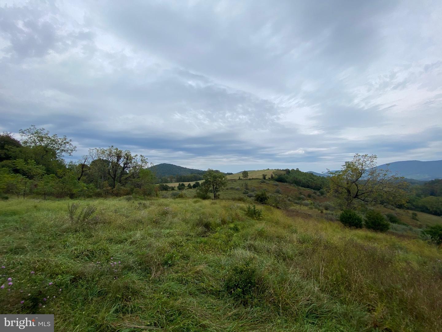 GOONEY MANOR LOOP, BENTONVILLE, Virginia 22610, ,Land,For sale,GOONEY MANOR LOOP,VAWR2012426 MLS # VAWR2012426