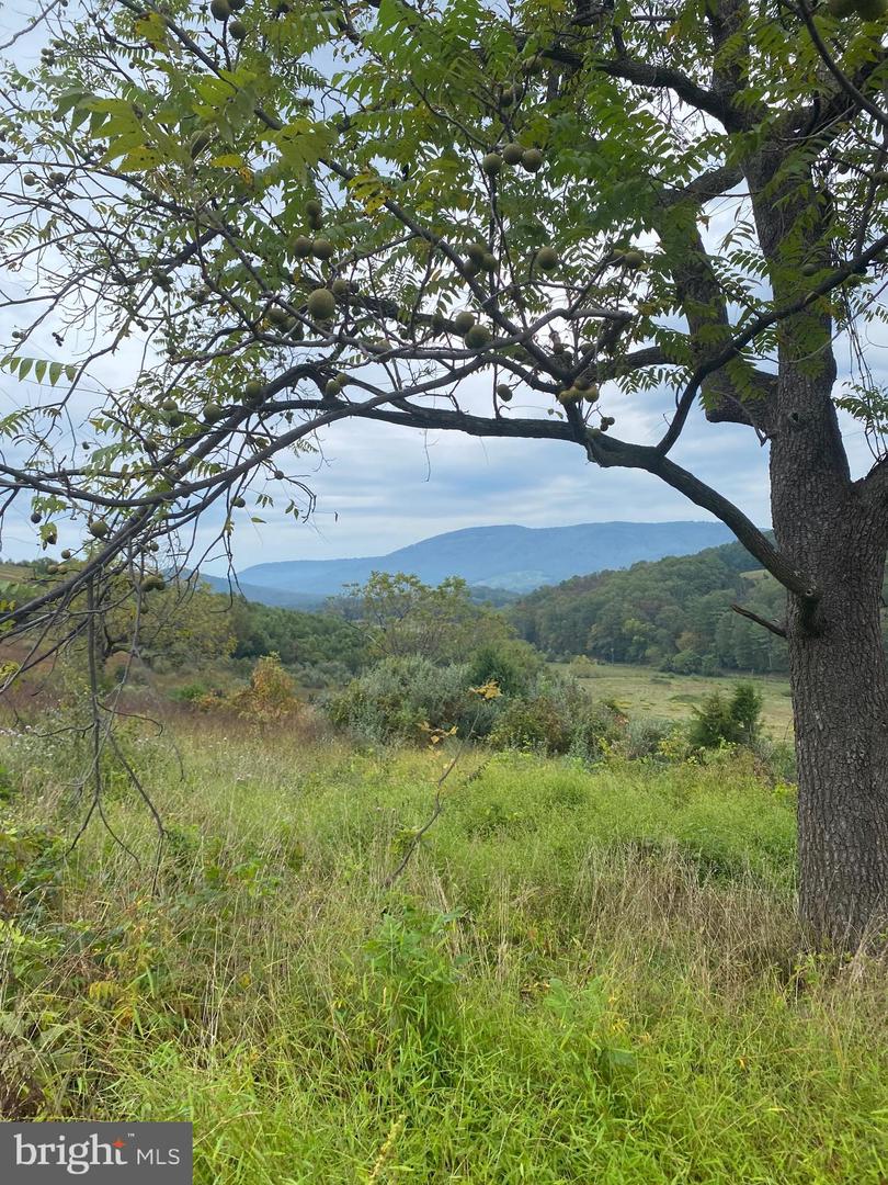 GOONEY MANOR LOOP, BENTONVILLE, Virginia 22610, ,Land,For sale,GOONEY MANOR LOOP,VAWR2012426 MLS # VAWR2012426