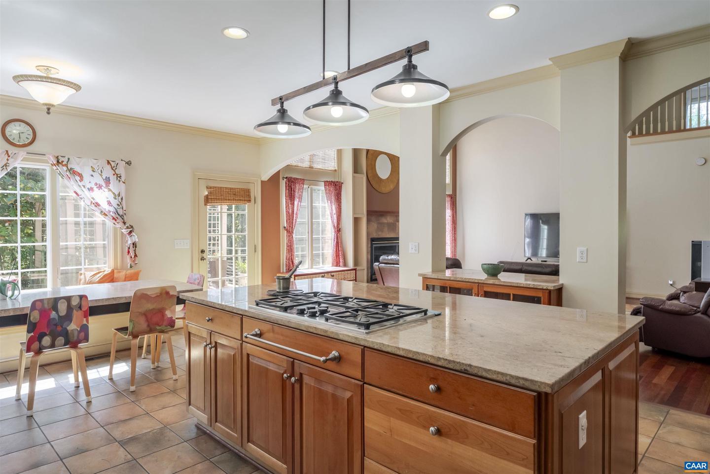 1330 ELDERBERRY PL, EARLYSVILLE, Virginia 22936, 5 Bedrooms Bedrooms, ,5 BathroomsBathrooms,Residential,For sale,1330 ELDERBERRY PL,669377 MLS # 669377