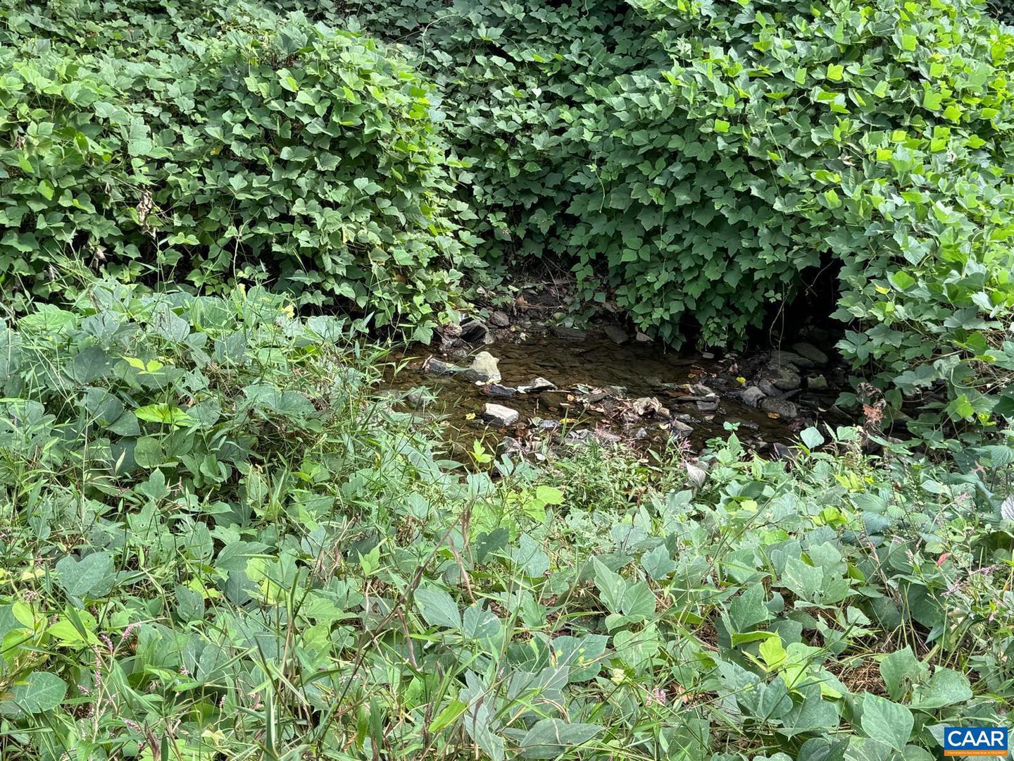 UNIT A & B 301 PATON ST #A & B, CHARLOTTESVILLE, Virginia 22903, 4 Bedrooms Bedrooms, ,2 BathroomsBathrooms,Residential,For sale,UNIT A & B 301 PATON ST #A & B,669382 MLS # 669382