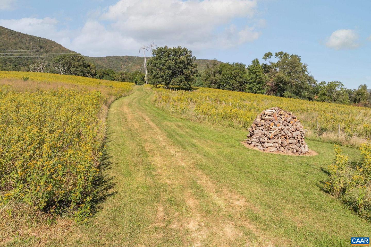 699 HENDRICKSON RD, PEMBROKE, Virginia 24136, 5 Bedrooms Bedrooms, ,3 BathroomsBathrooms,Residential,For sale,699 HENDRICKSON RD,669395 MLS # 669395 699 HENDRICKSON RD, PEMBROKE, Virginia 24136, 5 Bedrooms Bedrooms, ,3 BathroomsBathrooms,Residential,For sale,699 HENDRICKSON RD,669395 MLS # 669395