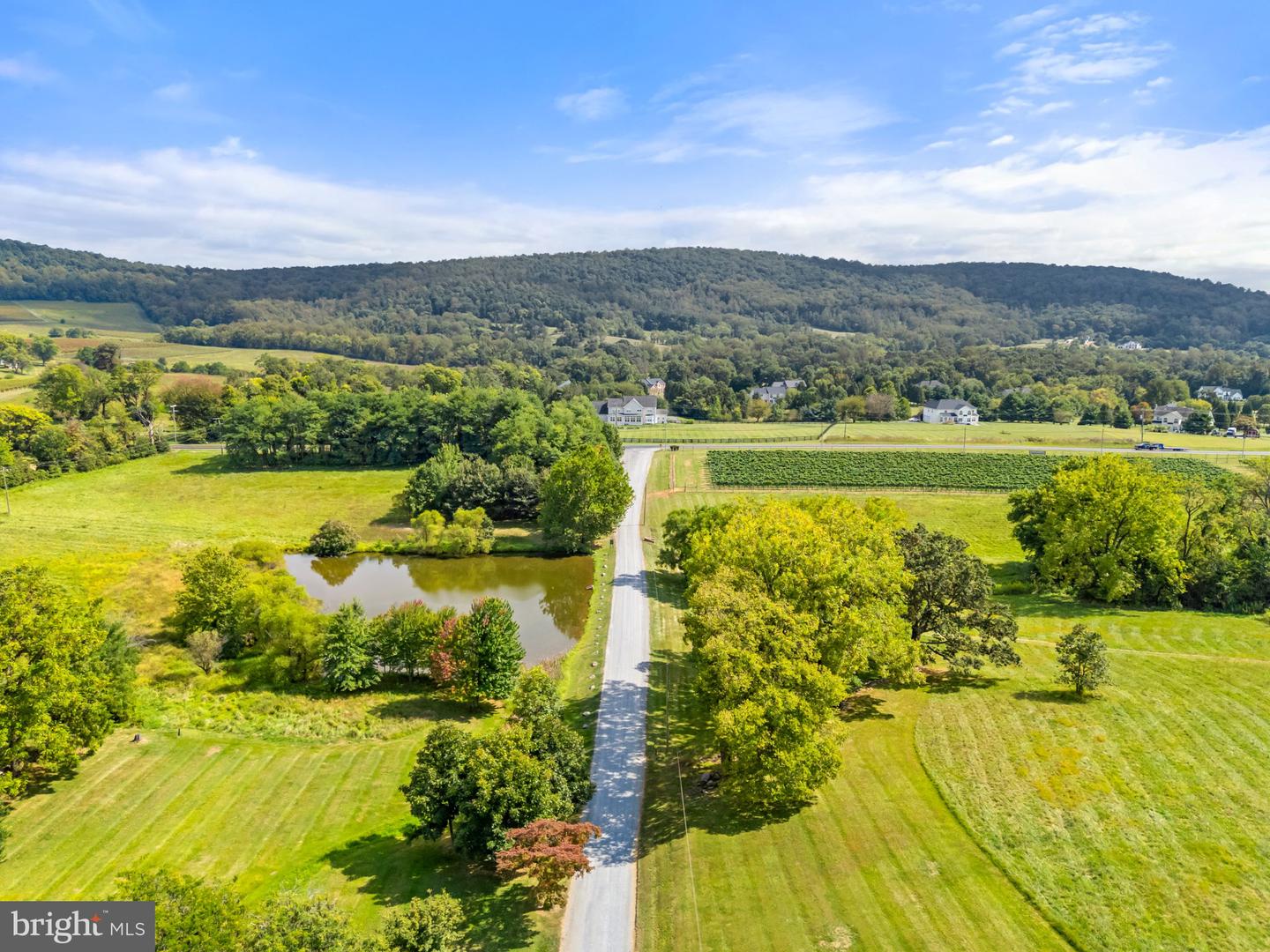14001 HARPERS FERRY RD, HILLSBORO, Virginia 20132, 4 Bedrooms Bedrooms, ,2 BathroomsBathrooms,Farm,For sale,14001 HARPERS FERRY RD,VALO2105910 MLS # VALO2105910