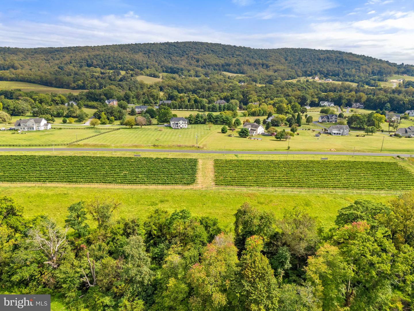 14001 HARPERS FERRY RD, HILLSBORO, Virginia 20132, 4 Bedrooms Bedrooms, ,2 BathroomsBathrooms,Farm,For sale,14001 HARPERS FERRY RD,VALO2105910 MLS # VALO2105910
