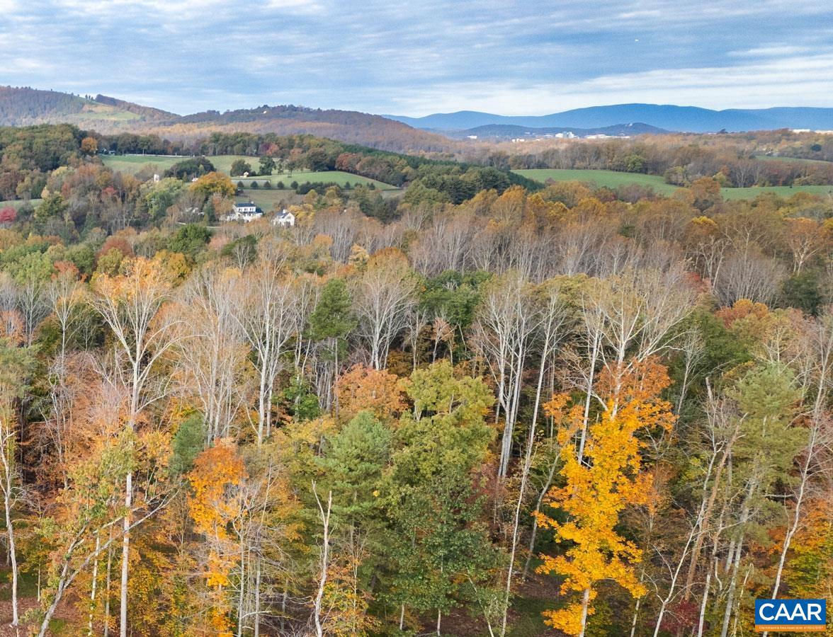 TBD SHADWELL RD, KESWICK, Virginia 22947, ,Land,For sale,TBD SHADWELL RD,669249 MLS # 669249