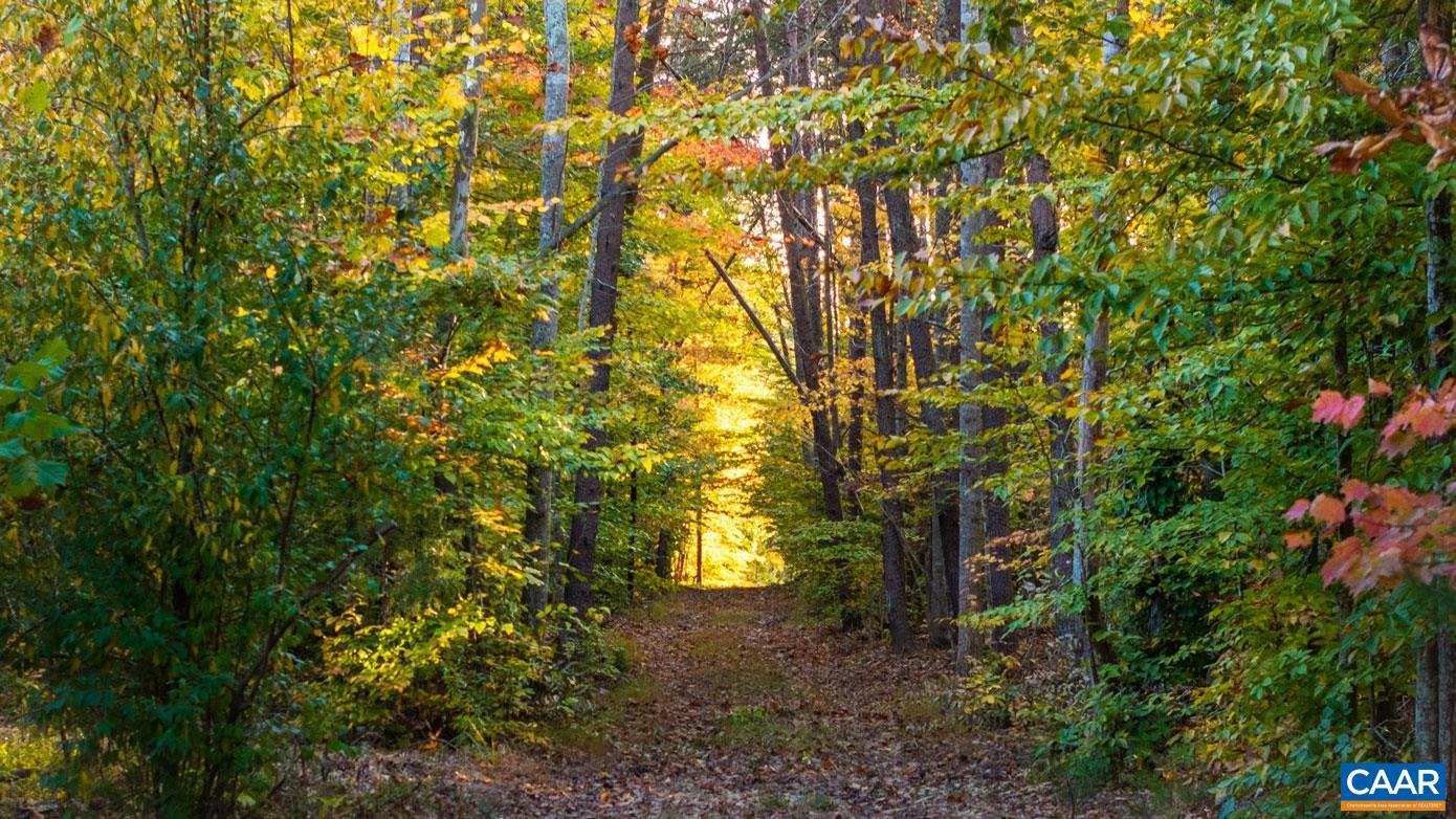 TBD SHADWELL RD, KESWICK, Virginia 22947, ,Land,For sale,TBD SHADWELL RD,669249 MLS # 669249