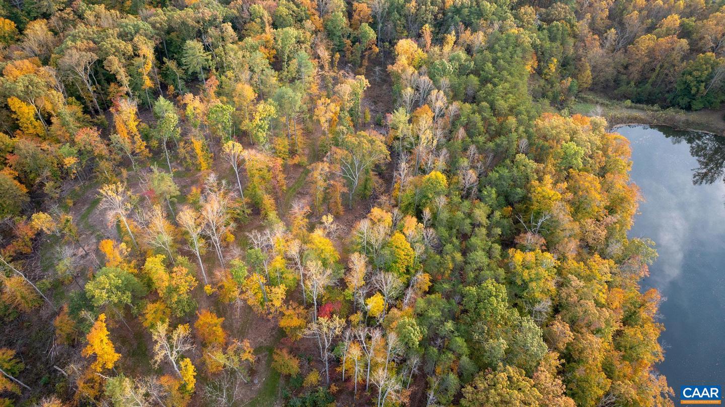 TBD SHADWELL RD, KESWICK, Virginia 22947, ,Land,For sale,TBD SHADWELL RD,669249 MLS # 669249