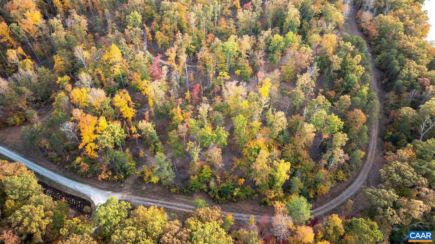 TBD SHADWELL RD, KESWICK, Virginia 22947, ,Land,For sale,TBD SHADWELL RD,669249 MLS # 669249