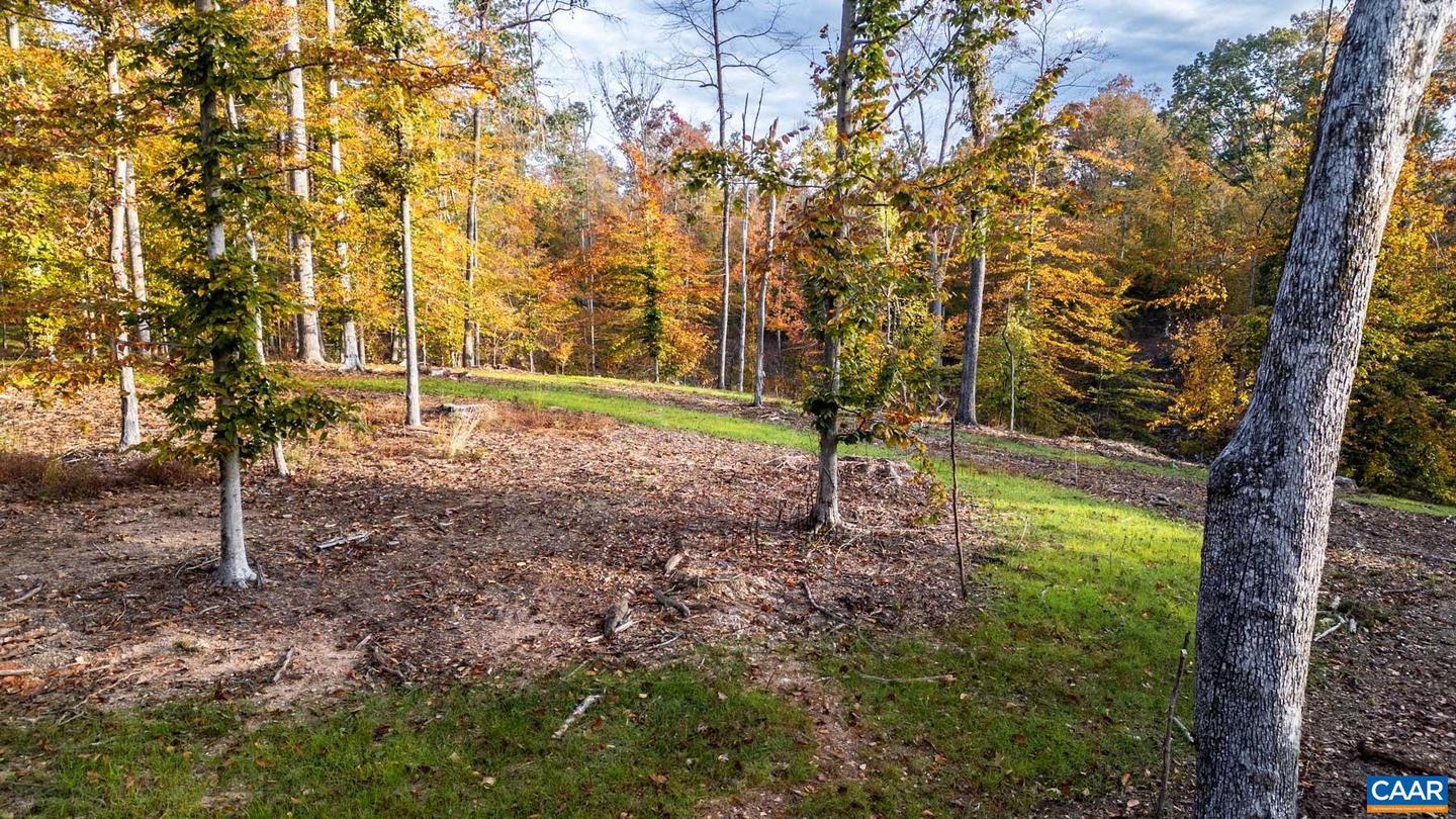 TBD SHADWELL RD, KESWICK, Virginia 22947, ,Land,For sale,TBD SHADWELL RD,669249 MLS # 669249