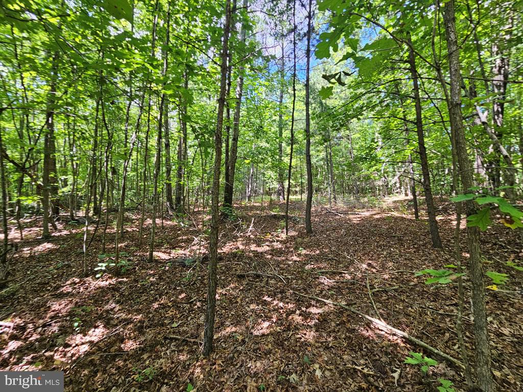 WEST JAMES ANDERSON HWY, GLADSTONE, Virginia 24553, ,Farm,For sale,WEST JAMES ANDERSON HWY,VABH2000220 MLS # VABH2000220