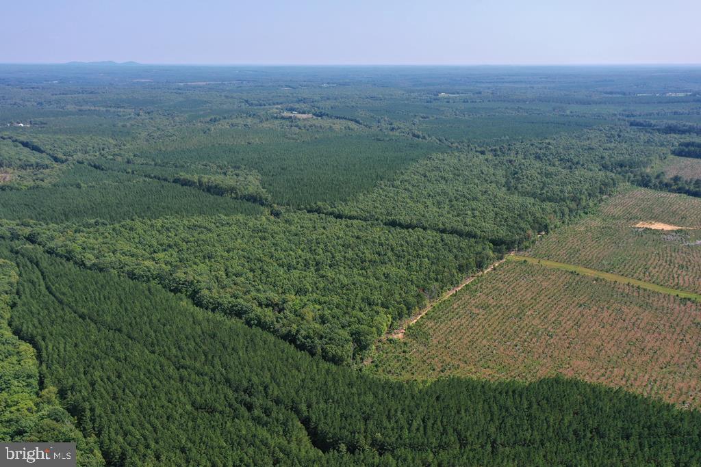 WEST JAMES ANDERSON HWY, GLADSTONE, Virginia 24553, ,Farm,For sale,WEST JAMES ANDERSON HWY,VABH2000220 MLS # VABH2000220