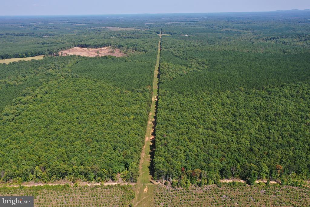 WEST JAMES ANDERSON HWY, GLADSTONE, Virginia 24553, ,Farm,For sale,WEST JAMES ANDERSON HWY,VABH2000220 MLS # VABH2000220