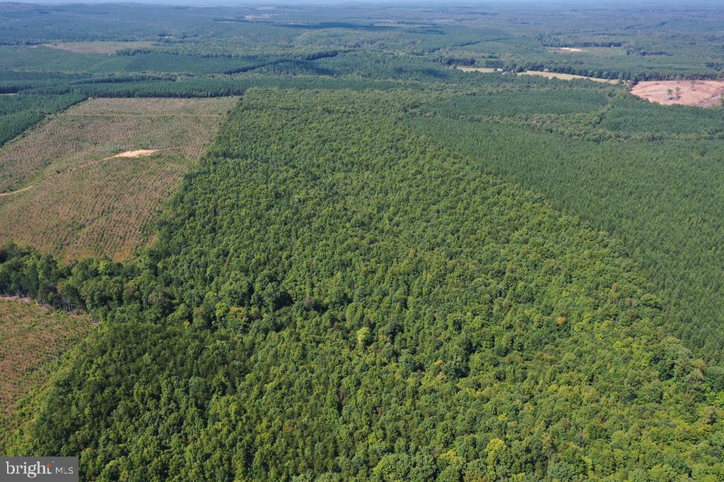 WEST JAMES ANDERSON HWY, GLADSTONE, Virginia 24553, ,Farm,For sale,WEST JAMES ANDERSON HWY,VABH2000220 MLS # VABH2000220