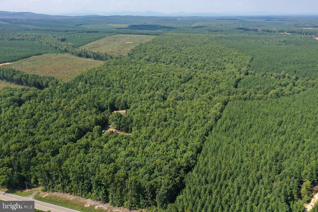 WEST JAMES ANDERSON HWY, GLADSTONE, Virginia 24553, ,Farm,For sale,WEST JAMES ANDERSON HWY,VABH2000220 MLS # VABH2000220