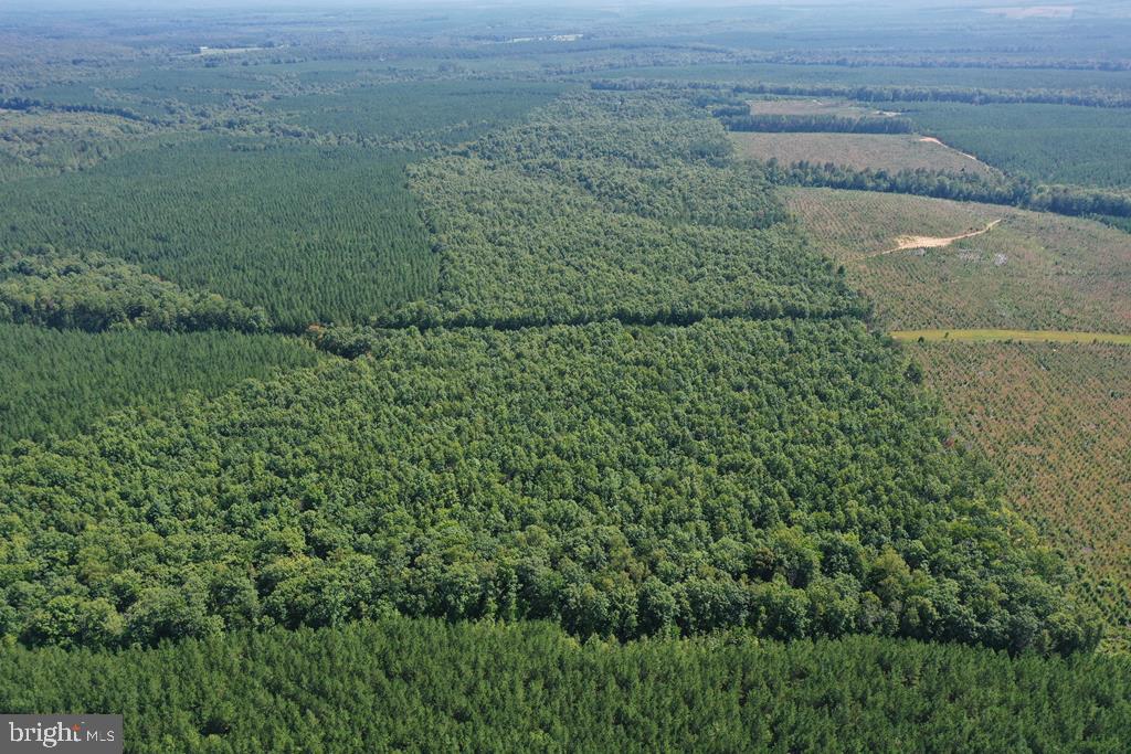 WEST JAMES ANDERSON HWY, GLADSTONE, Virginia 24553, ,Farm,For sale,WEST JAMES ANDERSON HWY,VABH2000220 MLS # VABH2000220