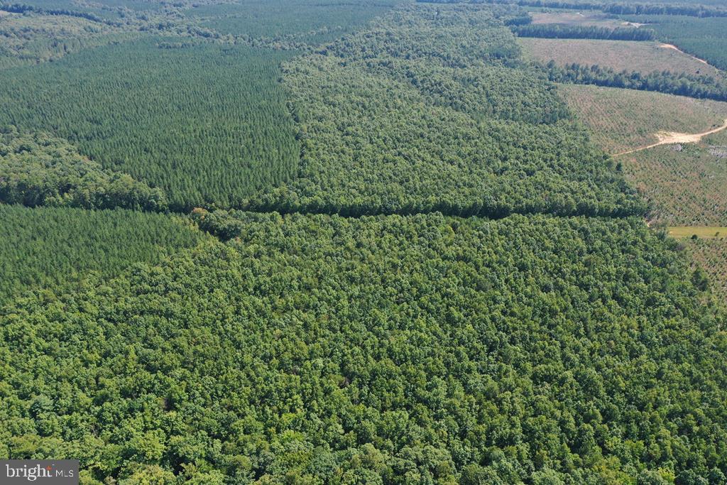 WEST JAMES ANDERSON HWY, GLADSTONE, Virginia 24553, ,Farm,For sale,WEST JAMES ANDERSON HWY,VABH2000220 MLS # VABH2000220