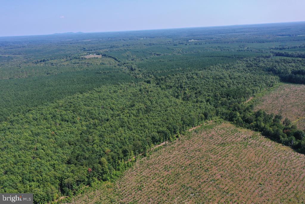 WEST JAMES ANDERSON HWY, GLADSTONE, Virginia 24553, ,Farm,For sale,WEST JAMES ANDERSON HWY,VABH2000220 MLS # VABH2000220
