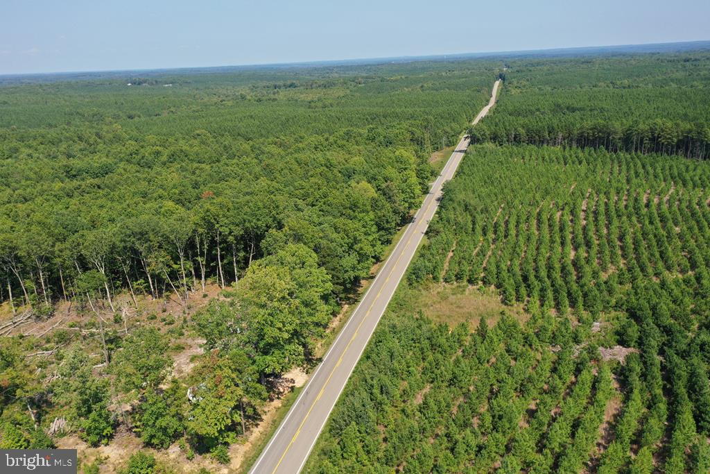 WEST JAMES ANDERSON HWY, GLADSTONE, Virginia 24553, ,Farm,For sale,WEST JAMES ANDERSON HWY,VABH2000220 MLS # VABH2000220
