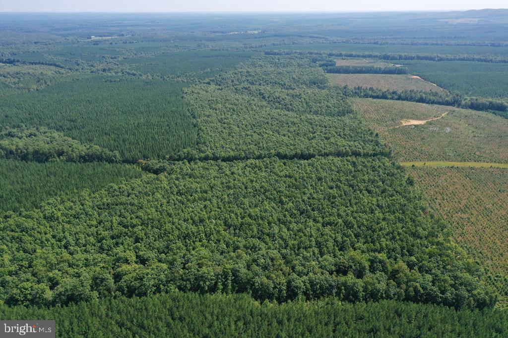 WEST JAMES ANDERSON HWY, GLADSTONE, Virginia 24553, ,Farm,For sale,WEST JAMES ANDERSON HWY,VABH2000220 MLS # VABH2000220