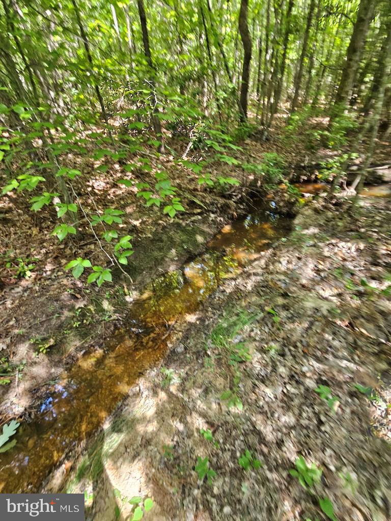 WEST JAMES ANDERSON HWY, GLADSTONE, Virginia 24553, ,Farm,For sale,WEST JAMES ANDERSON HWY,VABH2000220 MLS # VABH2000220