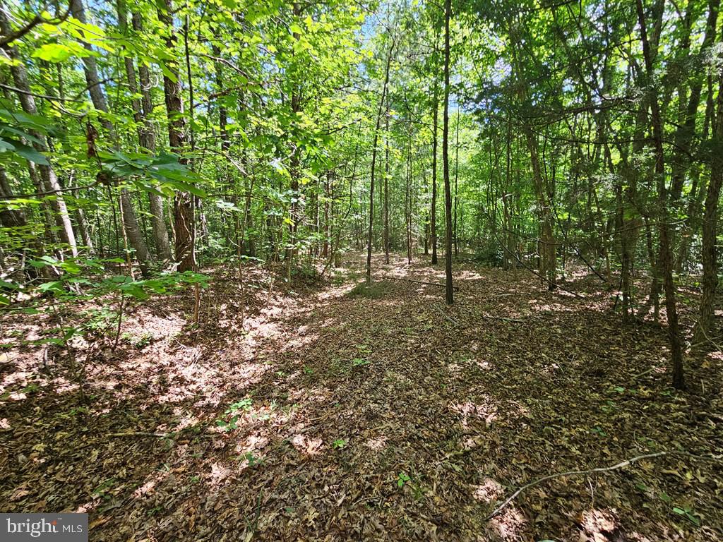 WEST JAMES ANDERSON HWY, GLADSTONE, Virginia 24553, ,Farm,For sale,WEST JAMES ANDERSON HWY,VABH2000220 MLS # VABH2000220