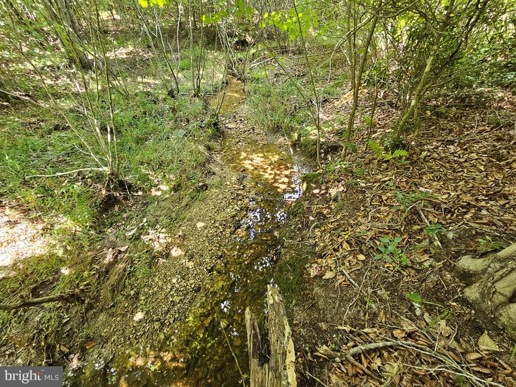 WEST JAMES ANDERSON HWY, GLADSTONE, Virginia 24553, ,Farm,For sale,WEST JAMES ANDERSON HWY,VABH2000220 MLS # VABH2000220