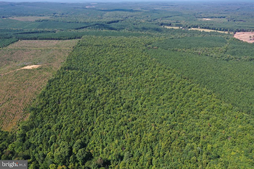 WEST JAMES ANDERSON HWY, GLADSTONE, Virginia 24553, ,Farm,For sale,WEST JAMES ANDERSON HWY,VABH2000220 MLS # VABH2000220