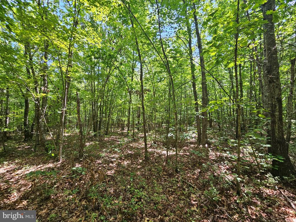 WEST JAMES ANDERSON HWY, GLADSTONE, Virginia 24553, ,Farm,For sale,WEST JAMES ANDERSON HWY,VABH2000220 MLS # VABH2000220