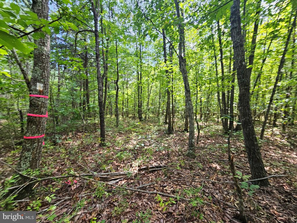 WEST JAMES ANDERSON HWY, GLADSTONE, Virginia 24553, ,Farm,For sale,WEST JAMES ANDERSON HWY,VABH2000220 MLS # VABH2000220