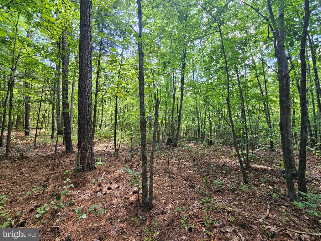 WEST JAMES ANDERSON HWY, GLADSTONE, Virginia 24553, ,Farm,For sale,WEST JAMES ANDERSON HWY,VABH2000220 MLS # VABH2000220