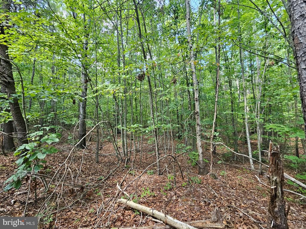 WEST JAMES ANDERSON HWY, GLADSTONE, Virginia 24553, ,Farm,For sale,WEST JAMES ANDERSON HWY,VABH2000220 MLS # VABH2000220