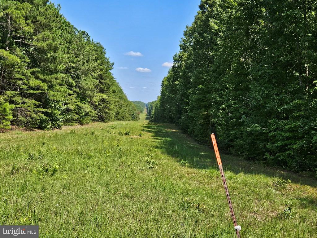 WEST JAMES ANDERSON HWY, GLADSTONE, Virginia 24553, ,Farm,For sale,WEST JAMES ANDERSON HWY,VABH2000220 MLS # VABH2000220